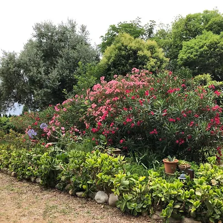 Duplex 130m2 Dans Un Mas Entoure De Vergers - Piscine Apartment Saint-Feliu-d'Avall